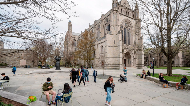Profil Princeton University: Sejarah Prestasi dan Keunggulan