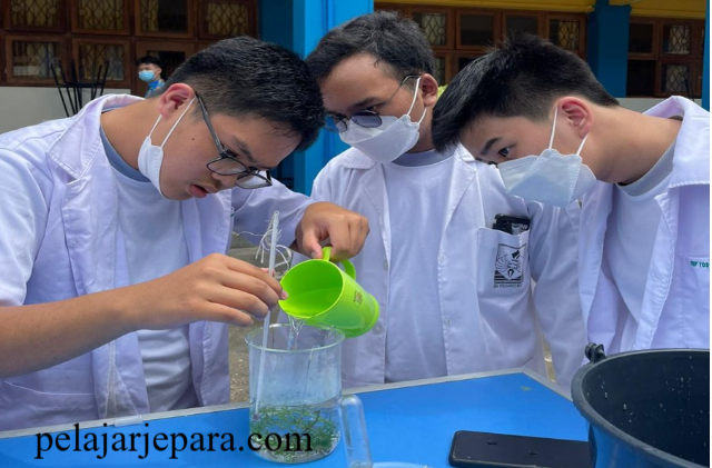 Aktivitas Praktikum untuk Matematika dan IPA